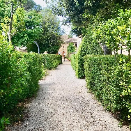 Vivarelli