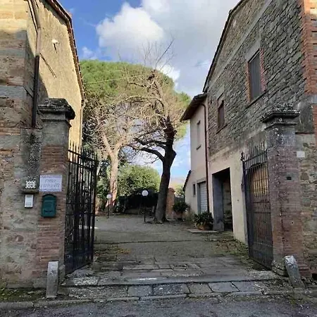 Vivarelli